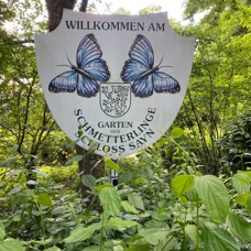 Schmetterling-welcome.jpeg